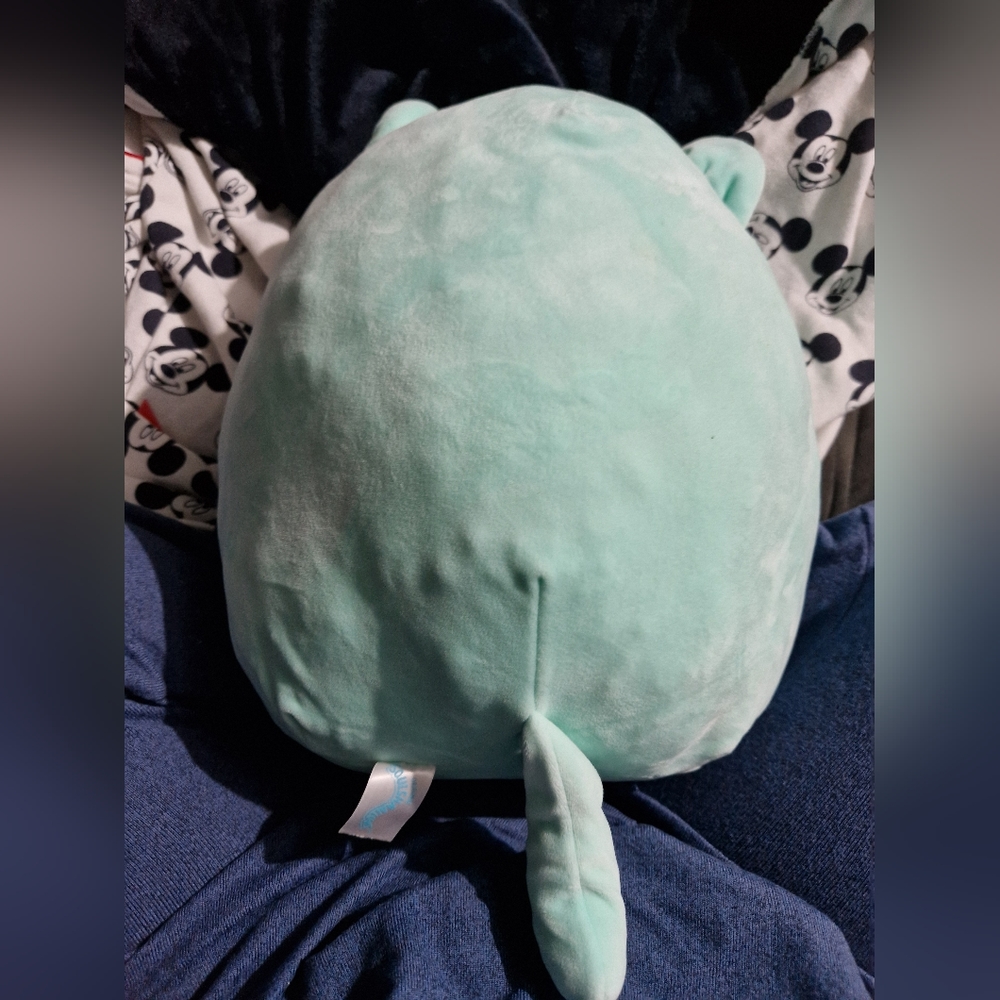 Cat 🐈 squishmallow 12inch - Picture 2 of 8